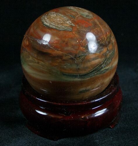Colorful Petrified Wood Sphere #6796